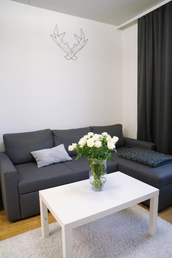 Lovely Northern Apartment, Parking 奥卢 外观 照片